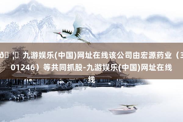 🦄九游娱乐(中国)网址在线该公司由宏源药业（301246）等共同抓股-九游娱乐(中国)网址在线
