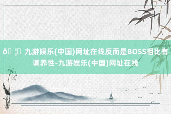 🦄九游娱乐(中国)网址在线反而是BOSS相比有调养性-九游娱乐(中国)网址在线