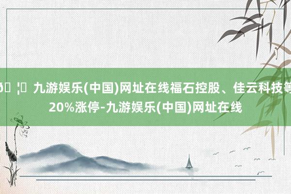 🦄九游娱乐(中国)网址在线福石控股、佳云科技等20%涨停-九游娱乐(中国)网址在线