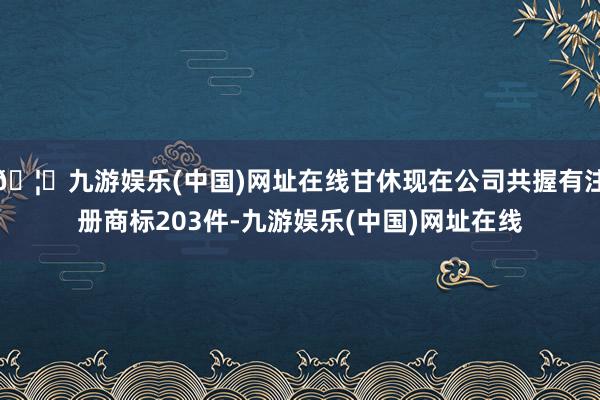 🦄九游娱乐(中国)网址在线甘休现在公司共握有注册商标203件-九游娱乐(中国)网址在线