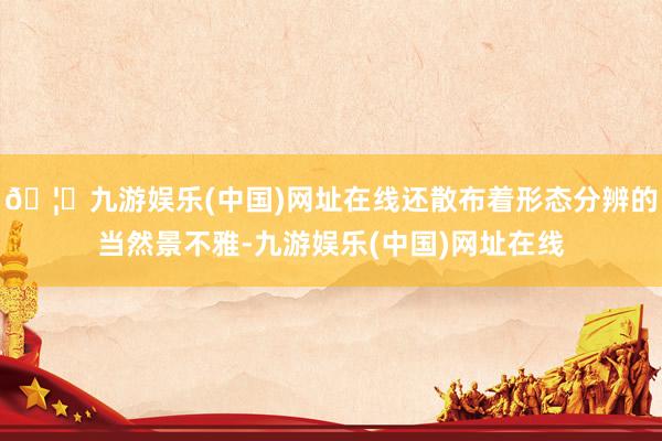 🦄九游娱乐(中国)网址在线还散布着形态分辨的当然景不雅-九游娱乐(中国)网址在线