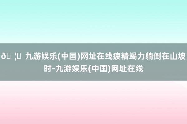 🦄九游娱乐(中国)网址在线疲精竭力躺倒在山坡时-九游娱乐(中国)网址在线