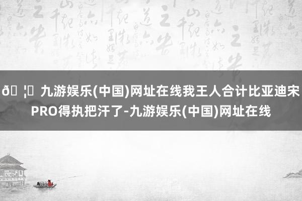 🦄九游娱乐(中国)网址在线我王人合计比亚迪宋PRO得执把汗了-九游娱乐(中国)网址在线