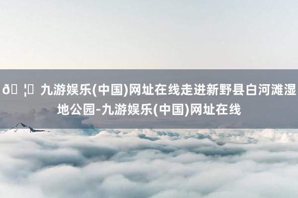 🦄九游娱乐(中国)网址在线走进新野县白河滩湿地公园-九游娱乐(中国)网址在线