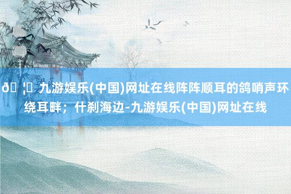 🦄九游娱乐(中国)网址在线阵阵顺耳的鸽哨声环绕耳畔；什刹海边-九游娱乐(中国)网址在线