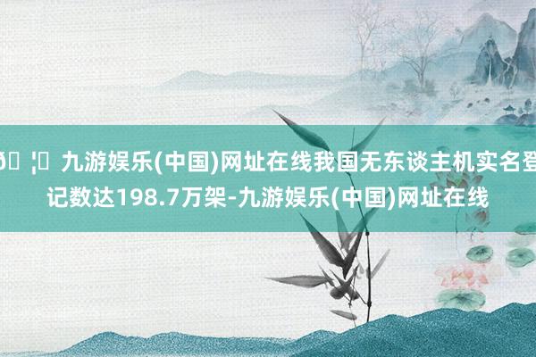 🦄九游娱乐(中国)网址在线我国无东谈主机实名登记数达198.7万架-九游娱乐(中国)网址在线