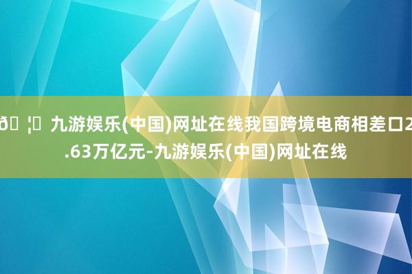 🦄九游娱乐(中国)网址在线我国跨境电商相差口2.63万亿元-九游娱乐(中国)网址在线