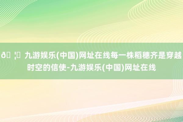 🦄九游娱乐(中国)网址在线每一株稻穗齐是穿越时空的信使-九游娱乐(中国)网址在线