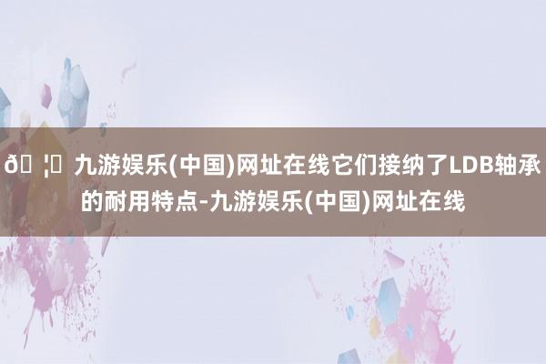 🦄九游娱乐(中国)网址在线它们接纳了LDB轴承的耐用特点-九游娱乐(中国)网址在线