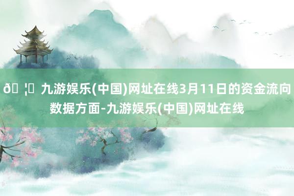🦄九游娱乐(中国)网址在线3月11日的资金流向数据方面-九游娱乐(中国)网址在线