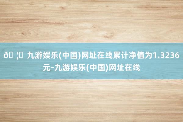 🦄九游娱乐(中国)网址在线累计净值为1.3236元-九游娱乐(中国)网址在线