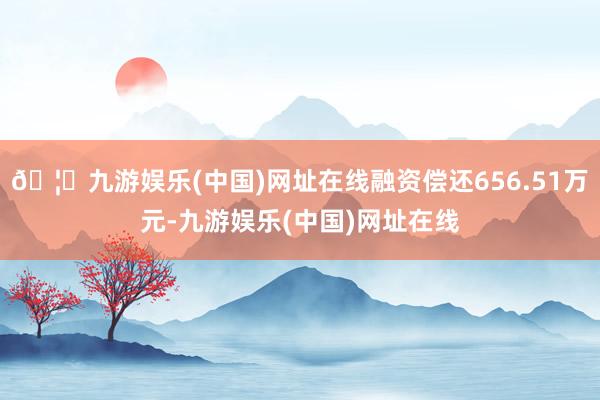 🦄九游娱乐(中国)网址在线融资偿还656.51万元-九游娱乐(中国)网址在线