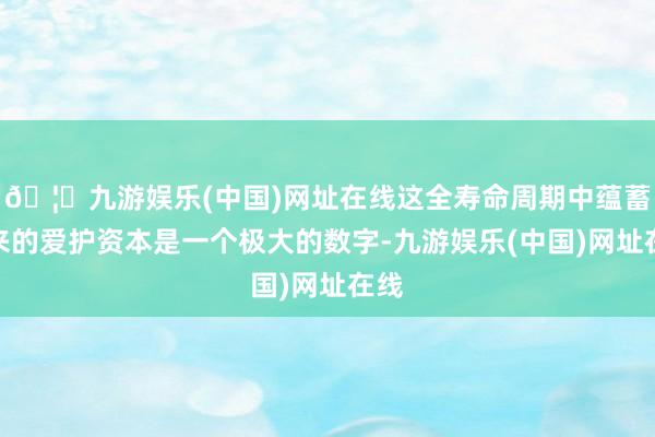 🦄九游娱乐(中国)网址在线这全寿命周期中蕴蓄下来的爱护资本是一个极大的数字-九游娱乐(中国)网址在线
