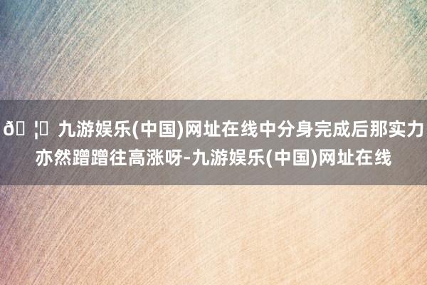 🦄九游娱乐(中国)网址在线中分身完成后那实力亦然蹭蹭往高涨呀-九游娱乐(中国)网址在线
