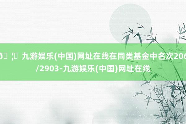 🦄九游娱乐(中国)网址在线在同类基金中名次206/2903-九游娱乐(中国)网址在线